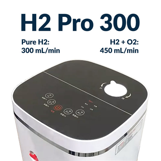 H2 Pro 450
